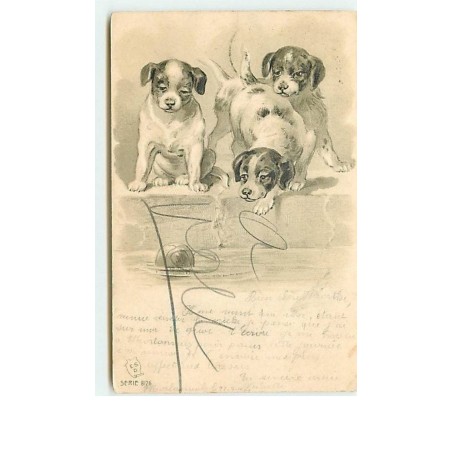 n°10646 - Carte Fantaisie Gaufrée - Chiots