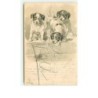 n°10646 - Carte Fantaisie Gaufrée - Chiots