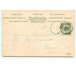 n°10646 - Carte Fantaisie Gaufrée - Chiots