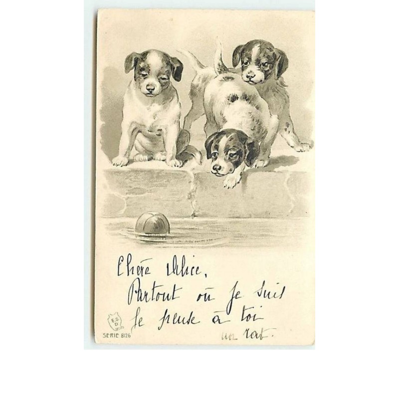 n°10648 - Carte Fantaisie Gaufrée - Chiots