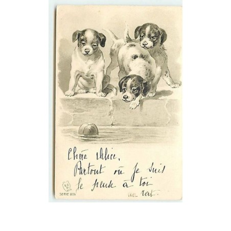 n°10648 - Carte Fantaisie Gaufrée - Chiots