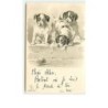 n°10648 - Carte Fantaisie Gaufrée - Chiots