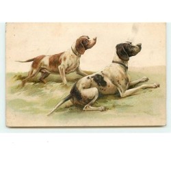 n°10649 - Carte Fantaisie...