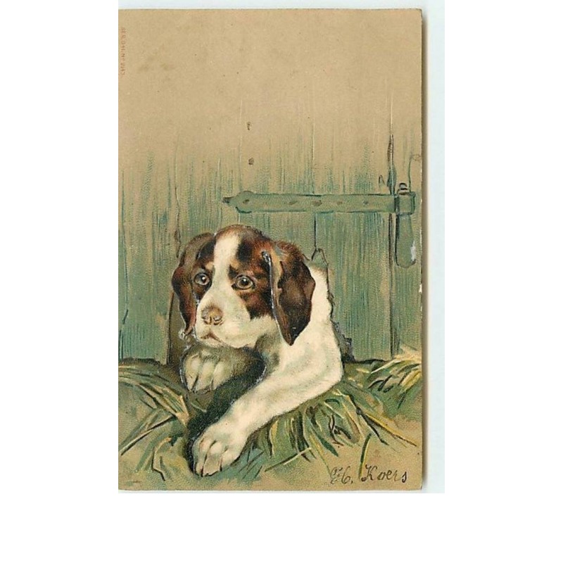 n°10650 - Carte Fantaisie Gaufrée - Chien