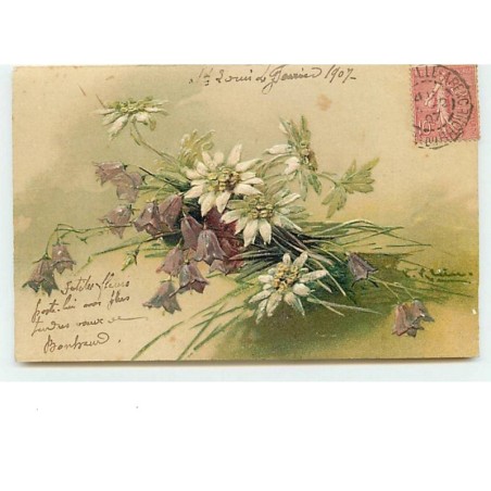 n°10651 - Carte Illustrateur - Catharina Klein - Bouquet avec des Edelweiss