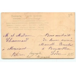 n°17195 - Carte Gaufrée - Poussin suivant un papillon