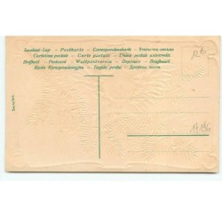 n°17196 - Carte Gaufrée - Portrait d'un ange sur une branche de sapin