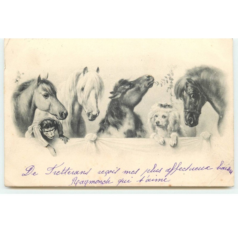 n°17210 - MM Vienne n°158 - Quatre chevaux, un singe et un caniche