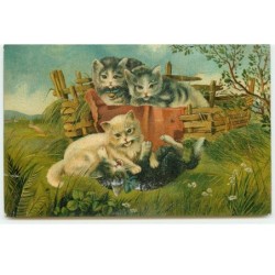 n°17248 - Chats jouant dans...