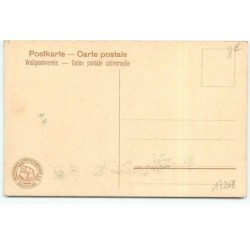 n°17248 - Chats jouant dans l'herbe - Hoffmann's Stärkefabriken Salzuflen
