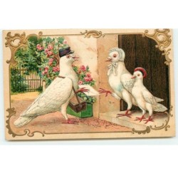 n°17298 - Carte Gaufrée -...
