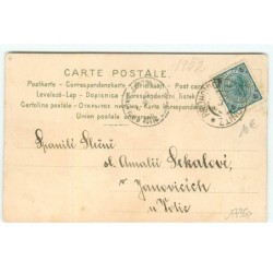 n°17350 - Jeune femme cueillant des fleurs