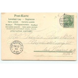 n°17378 - Carte Gaufrée - Fröhliche Weihnachten - Têtes d'anges dans un sapin