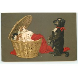 n°17393 - Chien regardant...