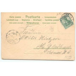 n°17399 - Carte Gaufrée - Jeune femme parmi des pensées