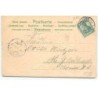 n°17399 - Carte Gaufrée - Jeune femme parmi des pensées