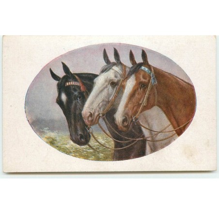 n°17463 - M. Munk Wien n°1185 - Trois têtes de chevaux