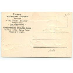 n°17474 - Carte Gaufrée - Famille de poussins habillés