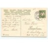 n°17480 - Carte Gaufrée - Flatscher - Prosit Neujahr - Fillettes portant une couronne de trèfles