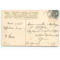 n°17598 - Carte Gaufrée - Amitié Sincère - Chats jouant avec une balle