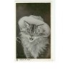 n°10715 - Carte Illustrateur - Barnes - Chat avec un Chapeau  - Little Bo Peep - Tuck