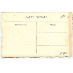 n°17747 - Carte peinte à la main - Patriotique - Nach Paris - Chat et Perroquet