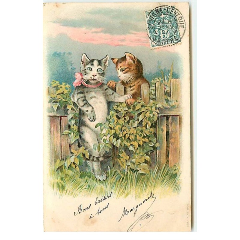 n°17750 - Carte Gaufrée - Deux chats se faisant la cour près d'une ballustrade