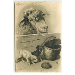 n°17795 - Carte Gaufrée -...