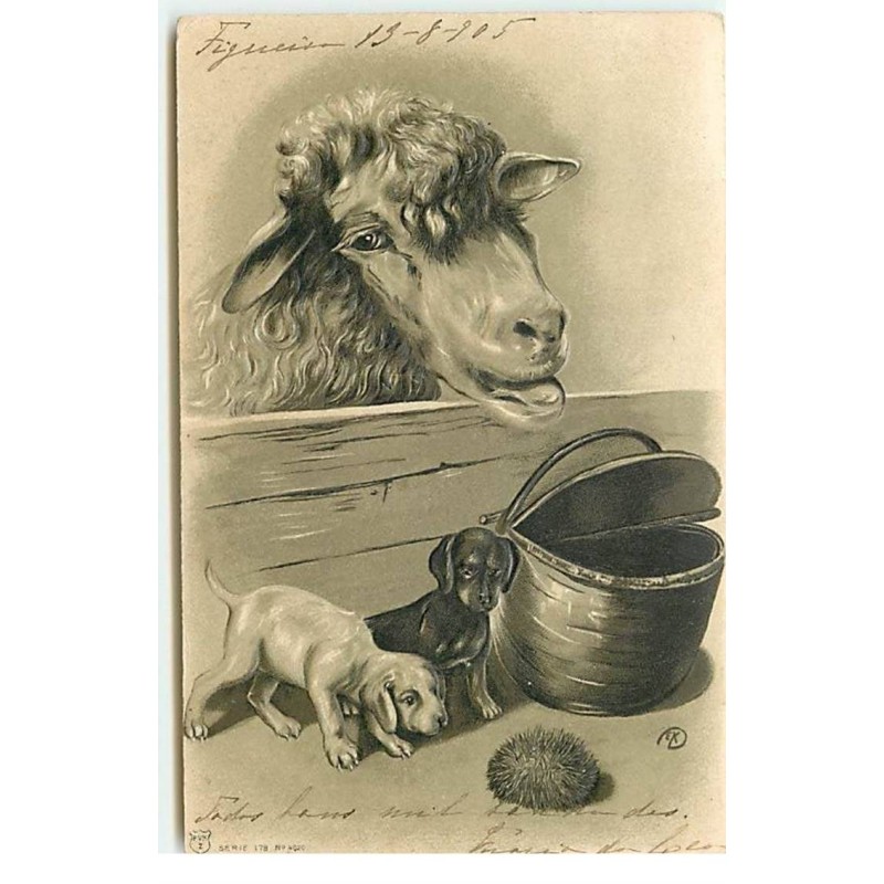 n°17795 - Carte Gaufrée - Mouton regardant deux chiots
