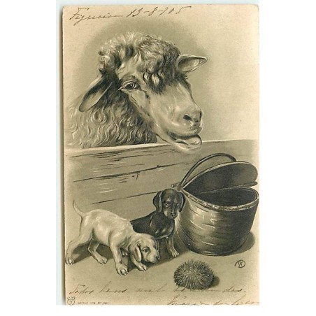 n°17795 - Carte Gaufrée - Mouton regardant deux chiots