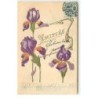 n°17798 - Carte Gaufrée - Amitiés - Iris