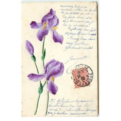 n°17799 - Carte Gaufrée - Iris