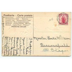 n°17843 - Carte Gaufrée - Enfants, avec un teckel chassant des oies