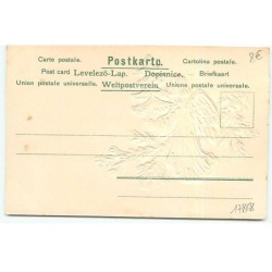 n°17868 - Carte Gaufrée - Fröhliche Weihnachten - Ange apportant un sapin