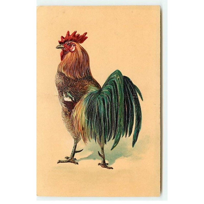 n°17897 - Carte Gaufrée - Un Coq