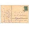 n°18117 - Carte Gaufrée - Fröhliche Pfingsten - Grenouilles, et fleurs