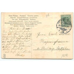 n°18148 - Carte Gaufrée - Prosit Neujahr - Fillette près d'un cochon tirant une brouette remplie de bouteille