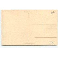 n°18169 - M. Fischerova-Kvéchova - Anges apportant une lettre, un bouquet, avec un chien à leur côté