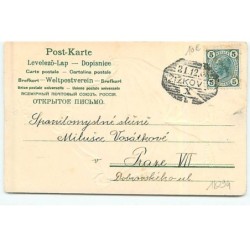 n°18294 - Carte Gaufrée - Srdecné prani k novému roku - Garçon avec un habit avec des trèfles dessus