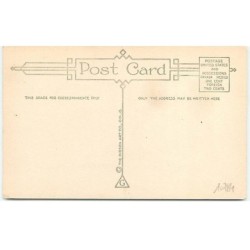 n°10784 - Carte Fantaisie - Gladsome Christmas Greetings - Santa Claus
