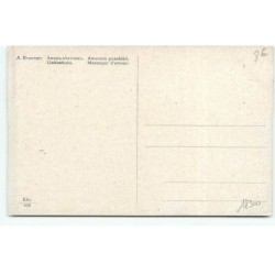 n°18300 - A. Brunner - Ange - Messager d'amour