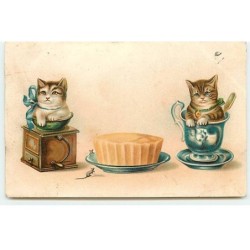 n°18346 - Chats dans une...