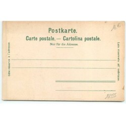 n°18355 - H. Schmidt - Gruess us em Rüebliland - Carottes armées - Surréalisme