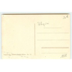 n°18356 - Pellegrini - Homme sur une luge chargée de troncs d'arbres