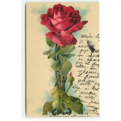 n°18371 - C. Klein - Rose...