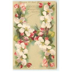 n°18372 - C. Klein - Fleurs...