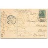 n°10793 - Carte Fantaisie Gaufrée - 1908 - Hirondelle