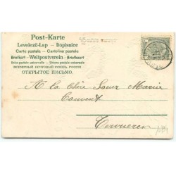 n°10794 - Carte Fantaisie Gaufrée - 1905 - Hirondelles