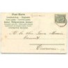 n°10794 - Carte Fantaisie Gaufrée - 1905 - Hirondelles