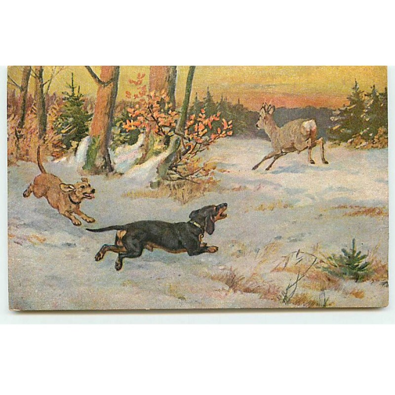 n°18400 - Chasse - Teckel courant après un chevreuil